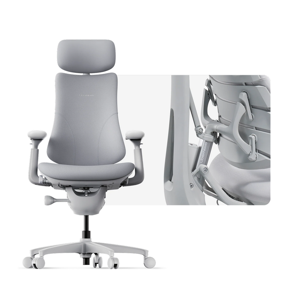 LiberNovo Omni Dynamic Ergonomic Chair in Space Grey with backrest mechanism detail
